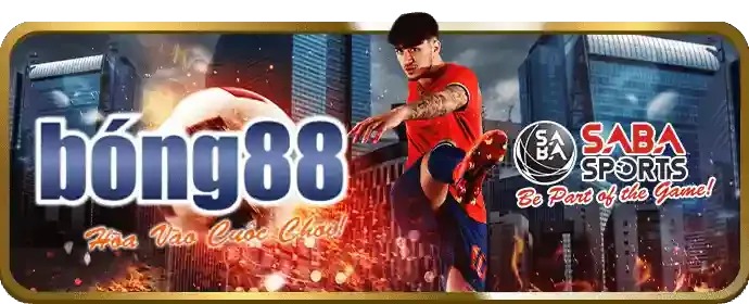 Hình ảnh giới thiệu đá gà 188BET
